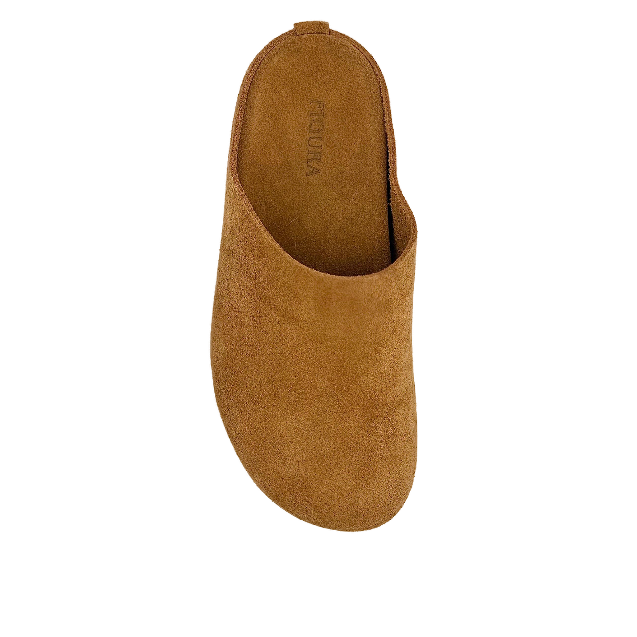 Camel MM2
